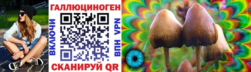 Псилоцибиновые грибы GOLDEN TEACHER  блэк спрут tor  Беслан 