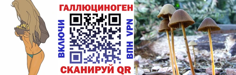 Псилоцибиновые грибы MAGIC MUSHROOMS Беслан